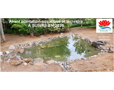 Jardin d'eau baignable Sutton: travaux en cours
